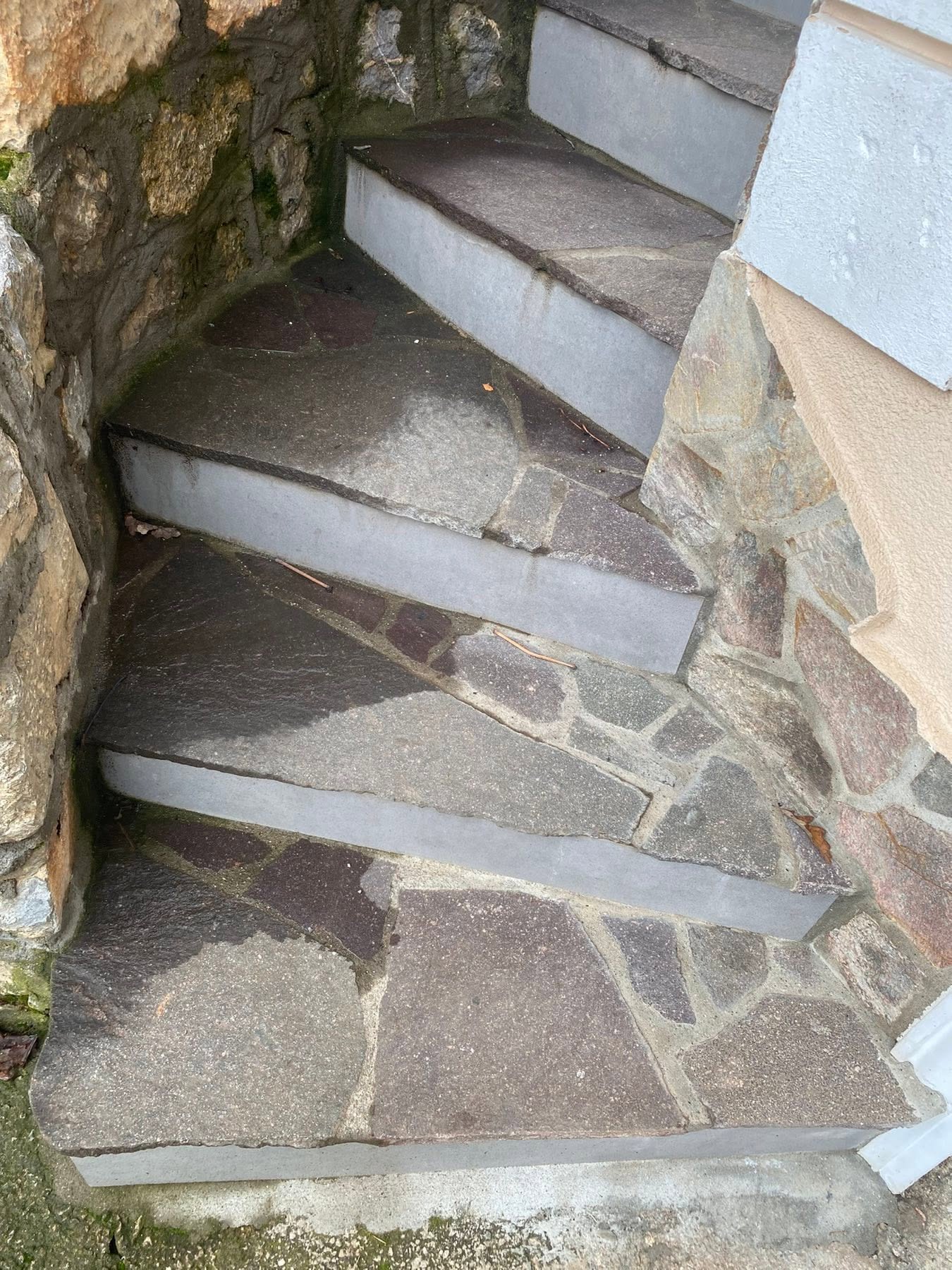 Modern Yard Project 5